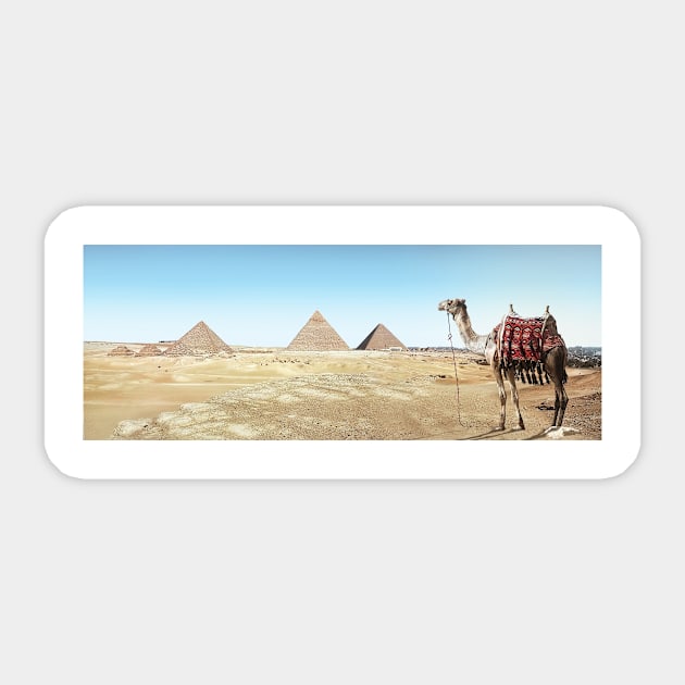 Camel and Pyramid Sticker by kawaii_shop